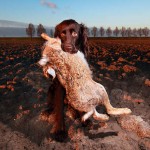 Modern Hunting Photography – morbide Kunst
